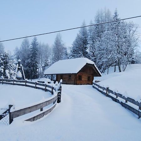 Ferienhaus Gobald Murau Esterno foto