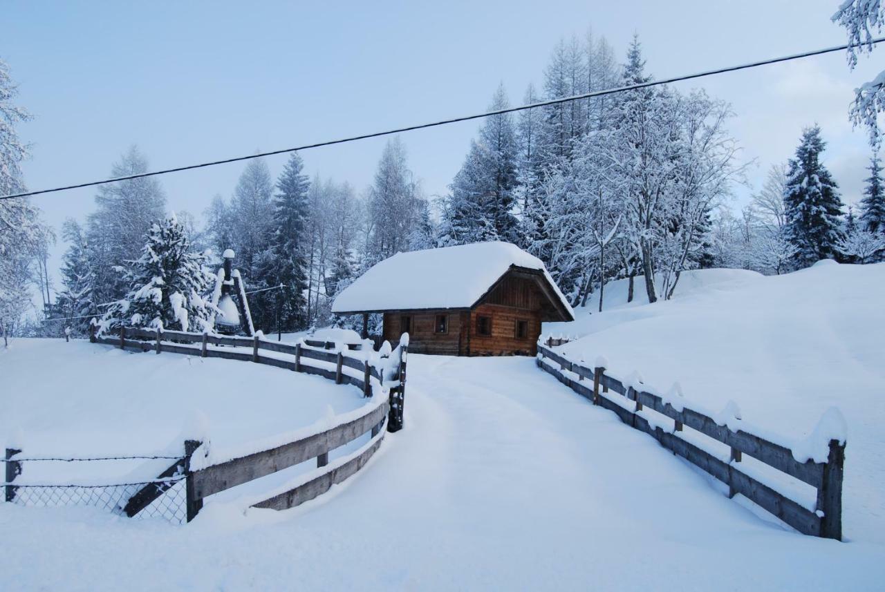 Ferienhaus Gobald Murau Esterno foto