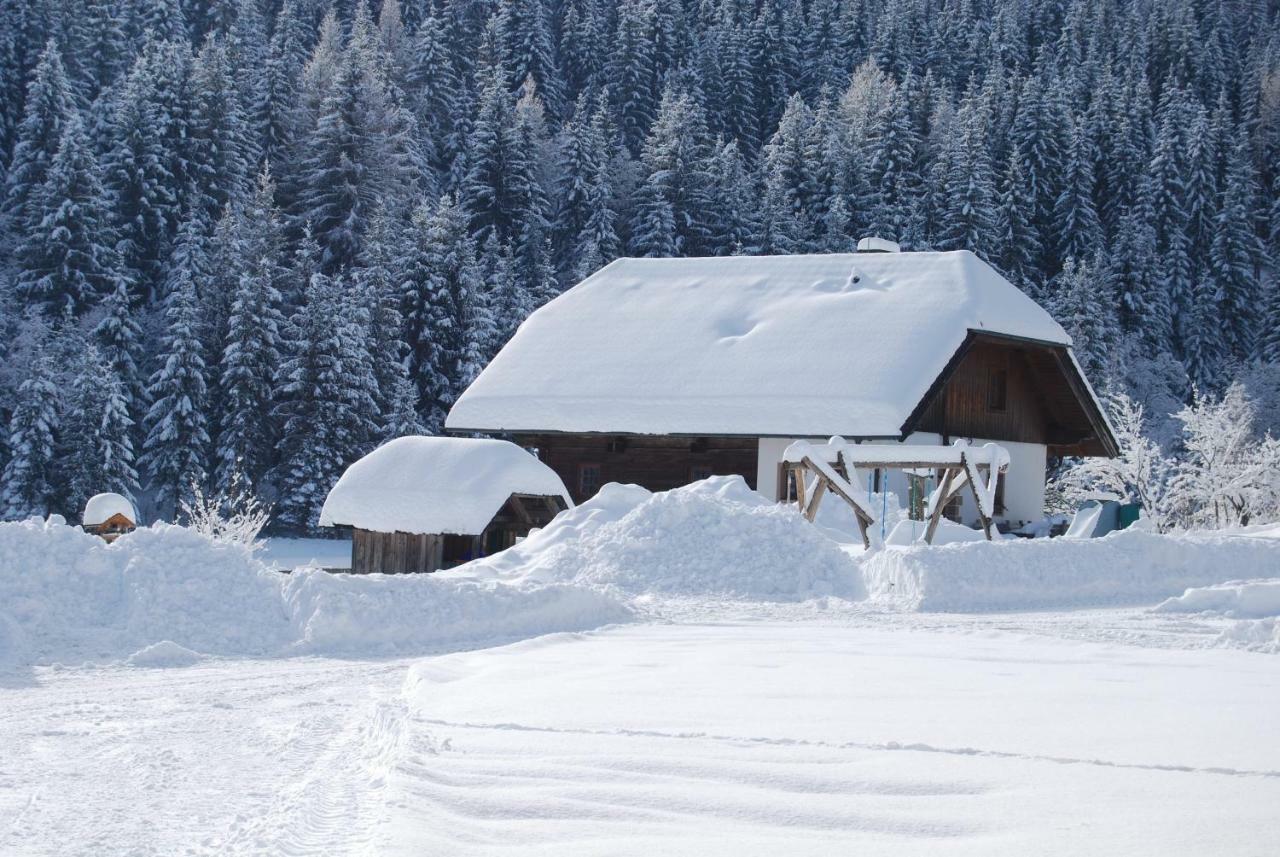 Ferienhaus Gobald Murau Esterno foto